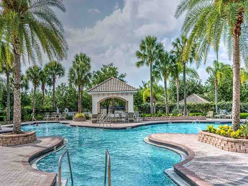 Find the Best Swimming Pool Landscape Contractors in Dubai